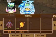 宠物经验界面